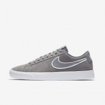 Nike ΑΝΔΡΙΚΑ ΠΑΠΟΥΤΣΙΑ SKATEBOARDING skateboarding cool grey/λευκό/cool grey_878365-001