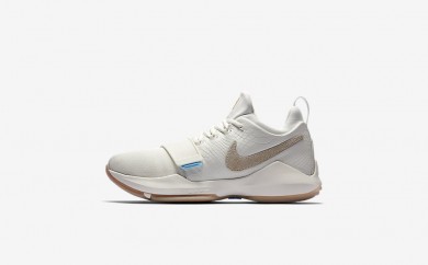 Ανδρικά αθλητικά παπούτσια Nike pg1 men ιβουάρ/gum light brown/vivid sky/oatmeal 878627-333