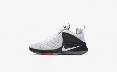 Ανδρικά αθλητικά παπούτσια Nike lebron witness men λευκό/μαύρο/cool grey/λευκό 852439-417
