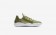 Ανδρικά αθλητικά παπούτσια Nike fl-rue men palm green/λευκό/palm green 880994-108