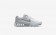 Η κα πάνινα παπούτσια Nike air max 2017 women pure platinum/λευκό/off white/wolf grey 849560-010