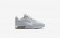 Η κα πάνινα παπούτσια Nike air max sequent 2 women pure platinum/wolf grey/metallic platinum/λευκό 852465-028